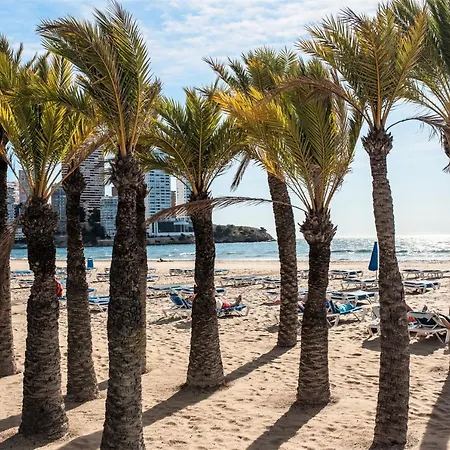 My Sweet Red Benidorm